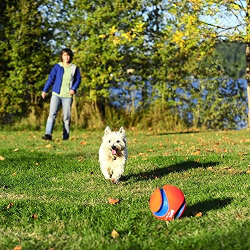 Chuckit Max Glow Kick Fetch Ball for Dogs