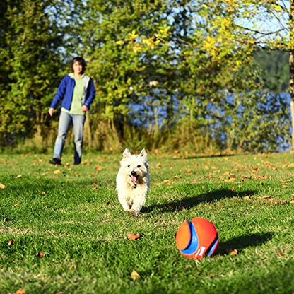 Chuckit Max Glow Kick Fetch Ball for Dogs