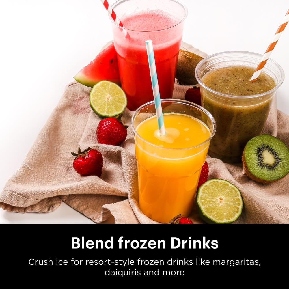 Ninja Professional Blender for Smoothies and Ice Crushing