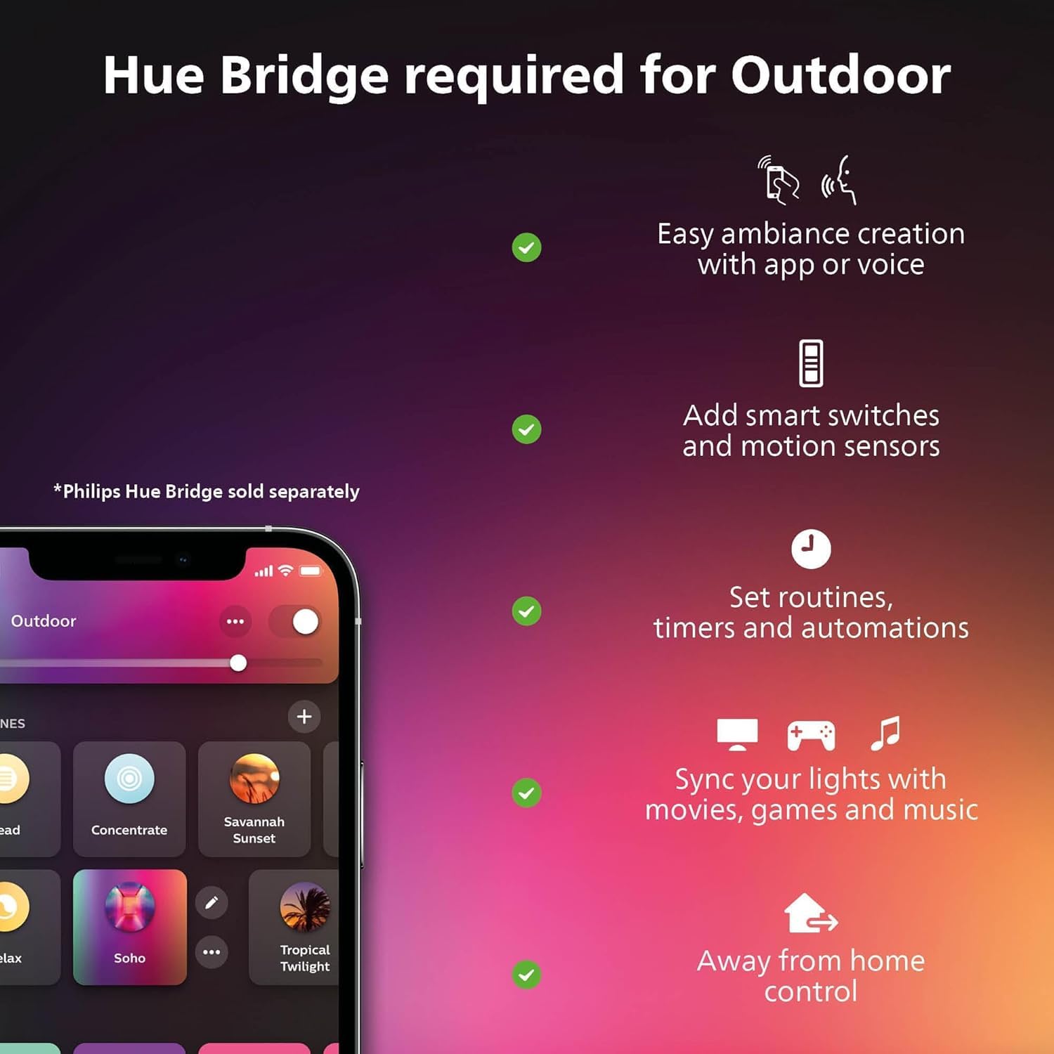 Philips Hue Lily Outdoor Smart Spot Lights for Ambiance
