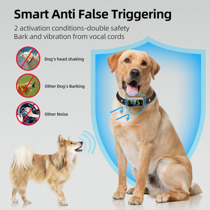 Rechargeable Dog Bark Collar with Adjustable Sensitivity Levels