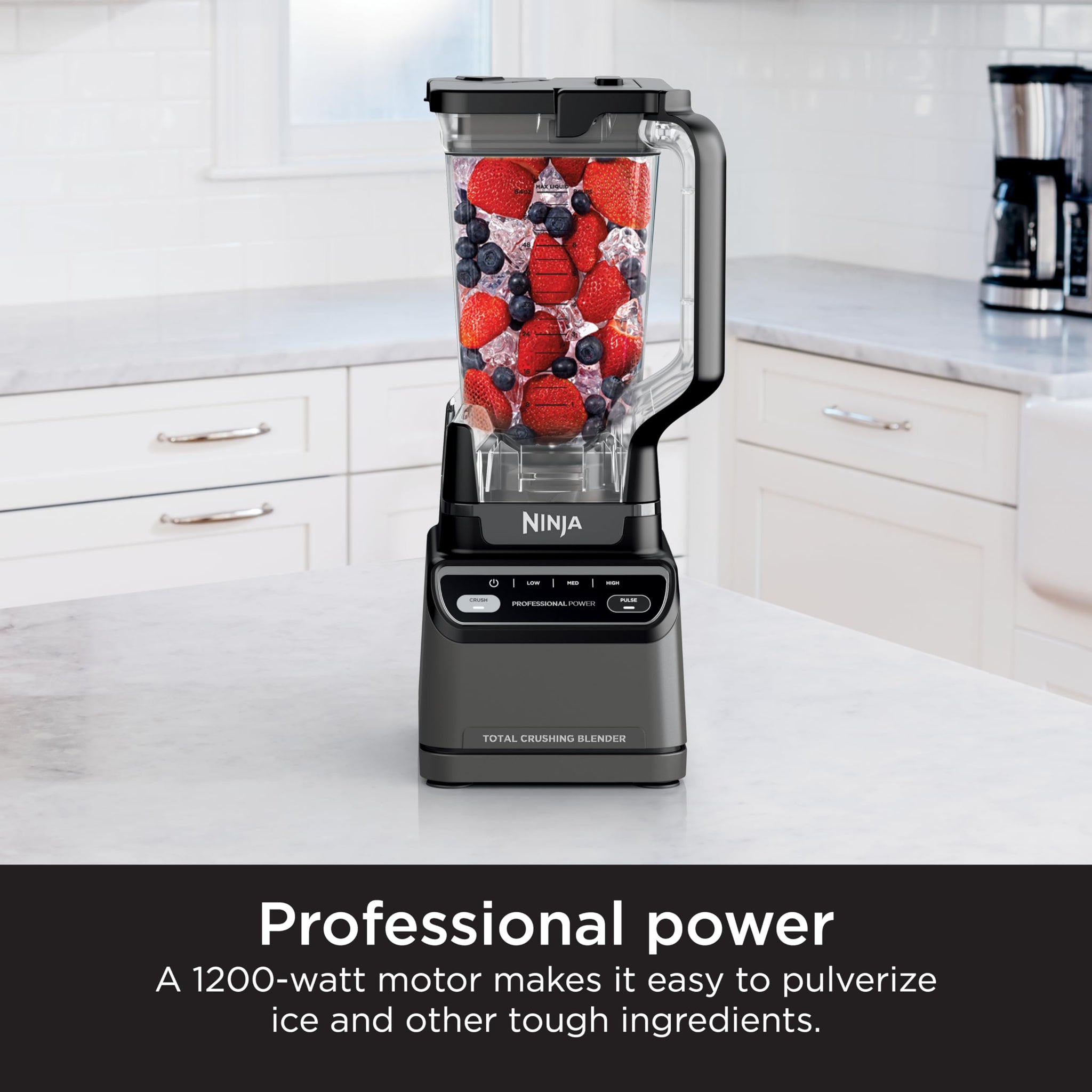 Ninja Professional Blender for Smoothies and Ice Crushing