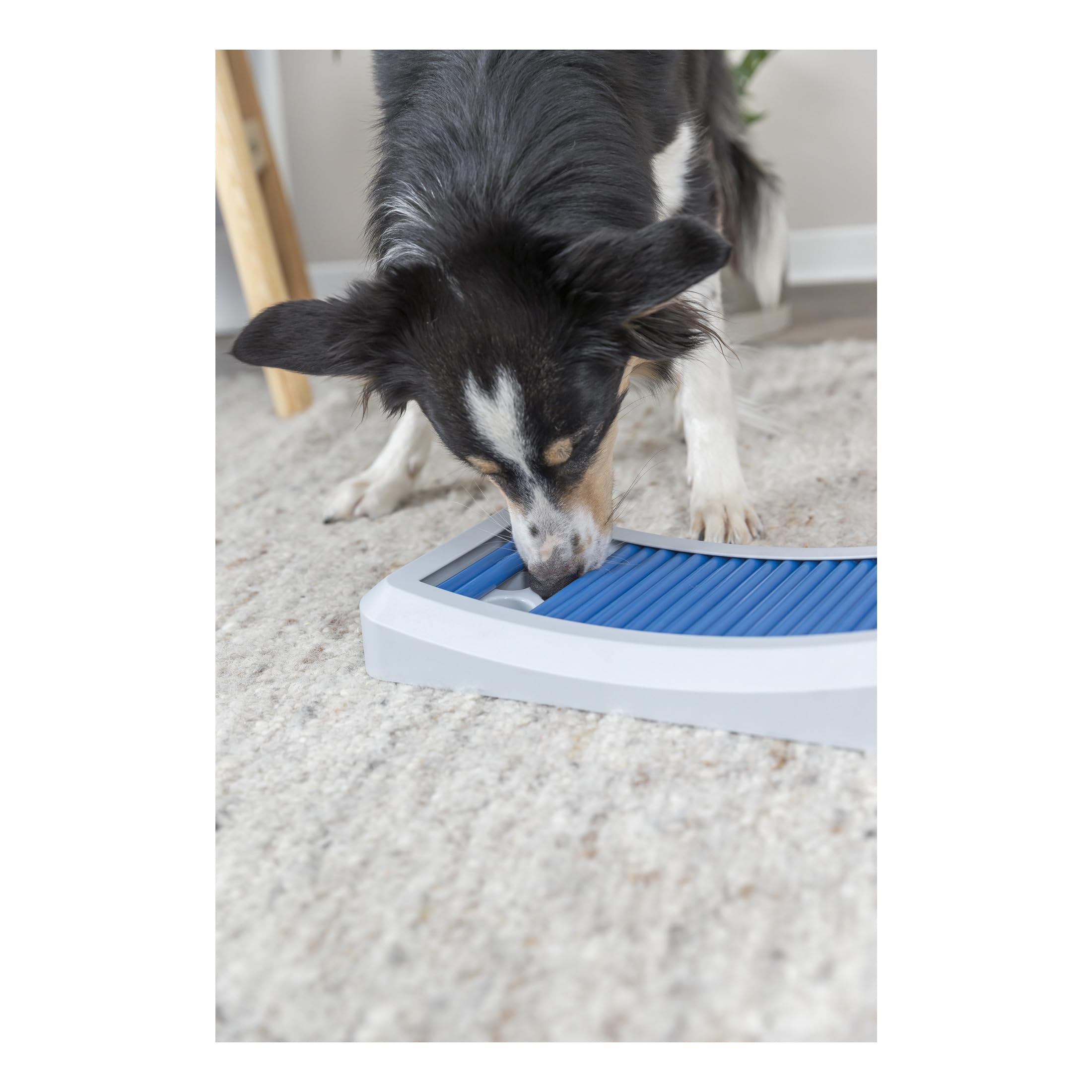 Trixie Move to Win Level 3 Dog Puzzle Game