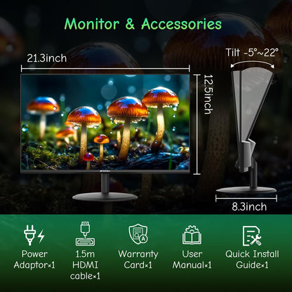 Sansui 24 Inch Eye Care Monitor With HDMI And VGA Ports