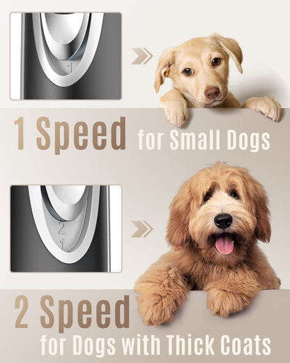 Quiet Dog Clippers for Stress-Free Grooming at Home