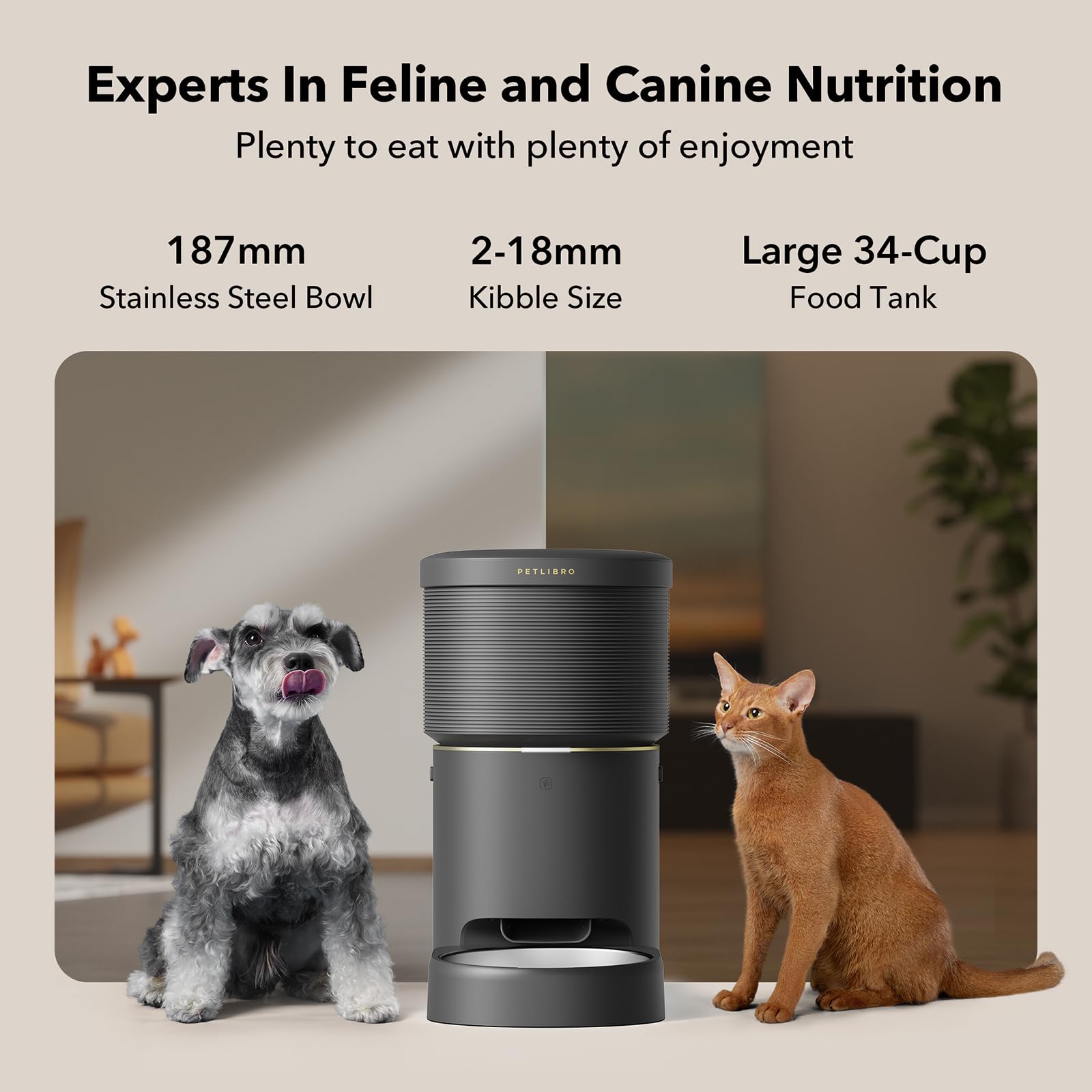 Automatic Dog Feeder with Airtight Storage for Fresh Food