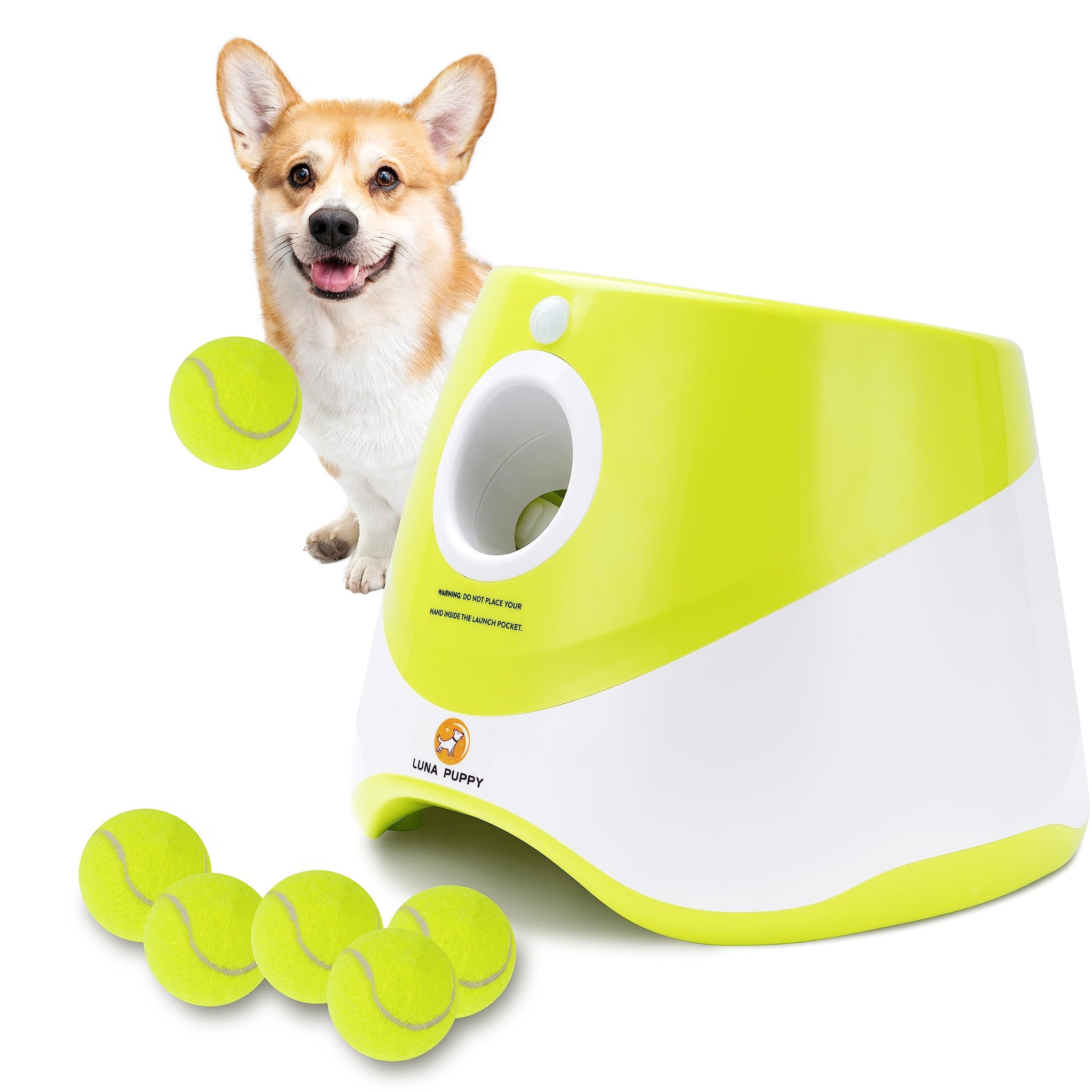 Automatic Dog Ball Launcher for Interactive Play