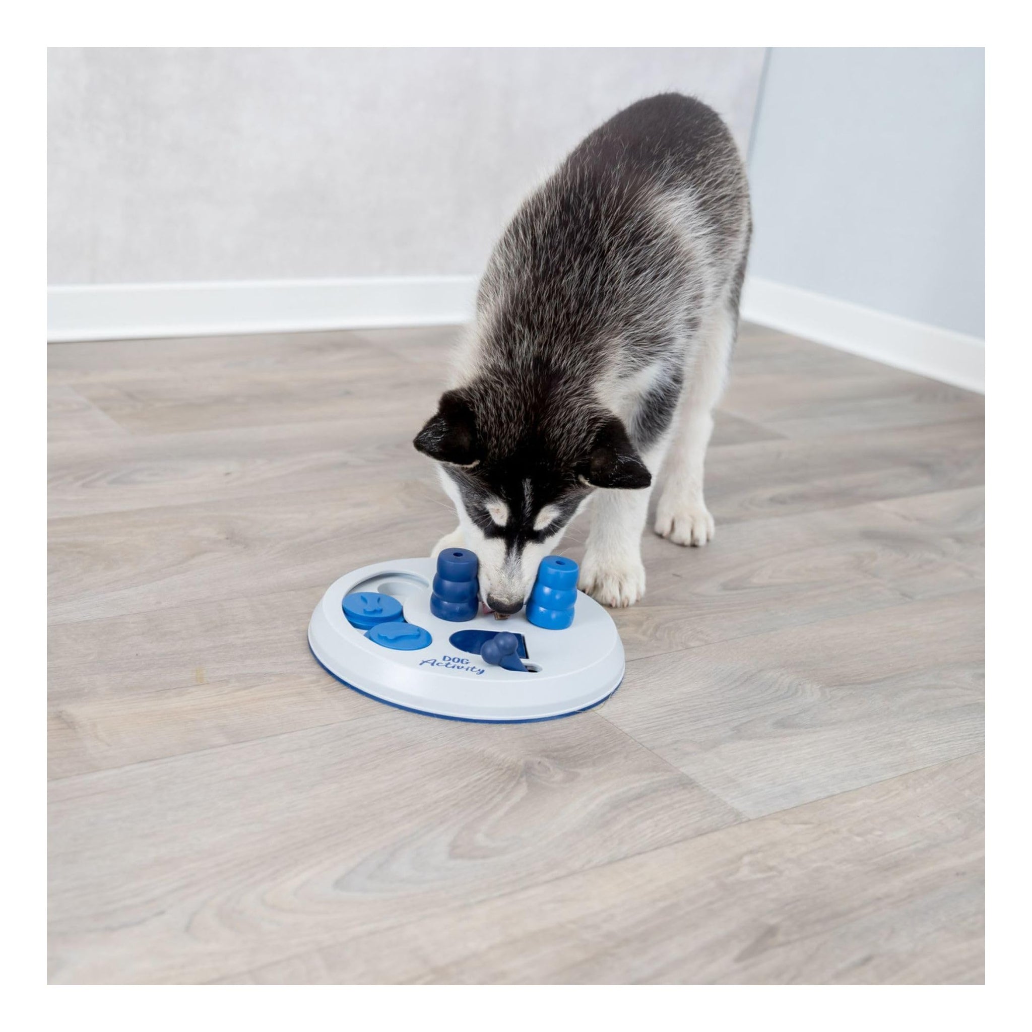 Trixie Move to Win Level 3 Dog Puzzle Game