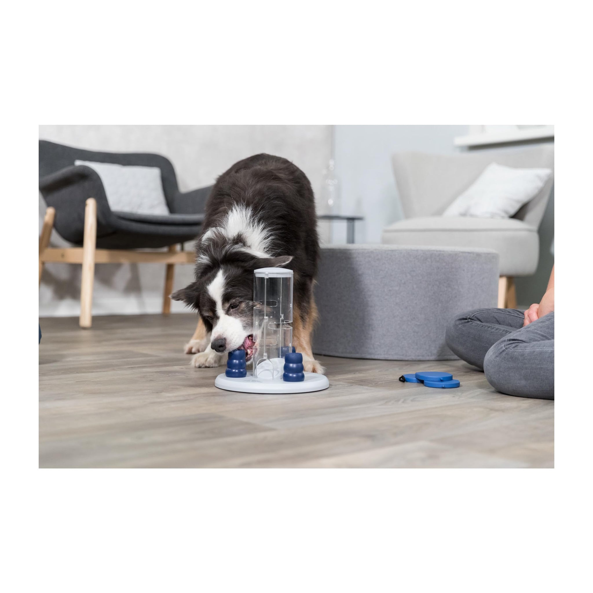 Trixie Move to Win Level 3 Dog Puzzle Game