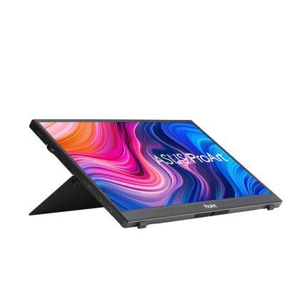 ASUS ProArt 24 Inch Monitor with 100 Percent sRGB Accuracy