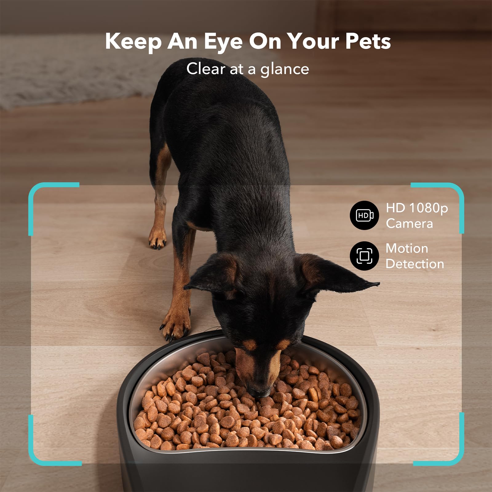 PETLIBRO Automatic Cat Feeder with HD Camera and Alerts