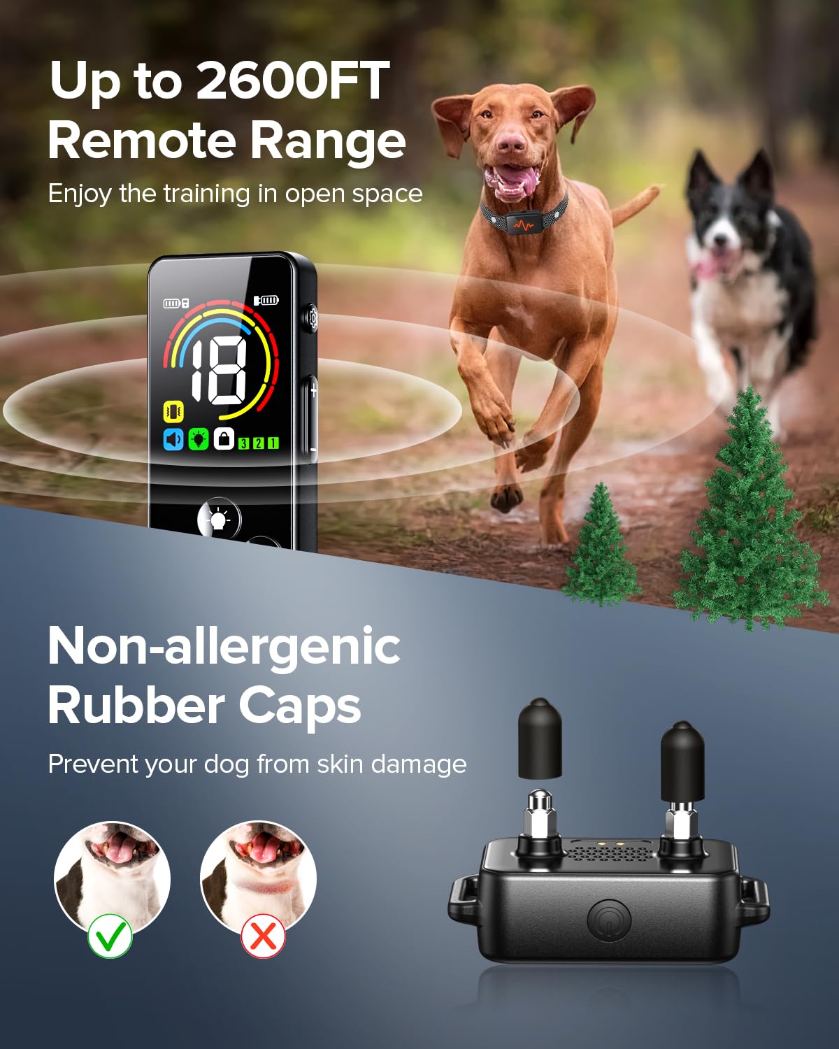 Dog Training Collar with Remote and Waterproof Design