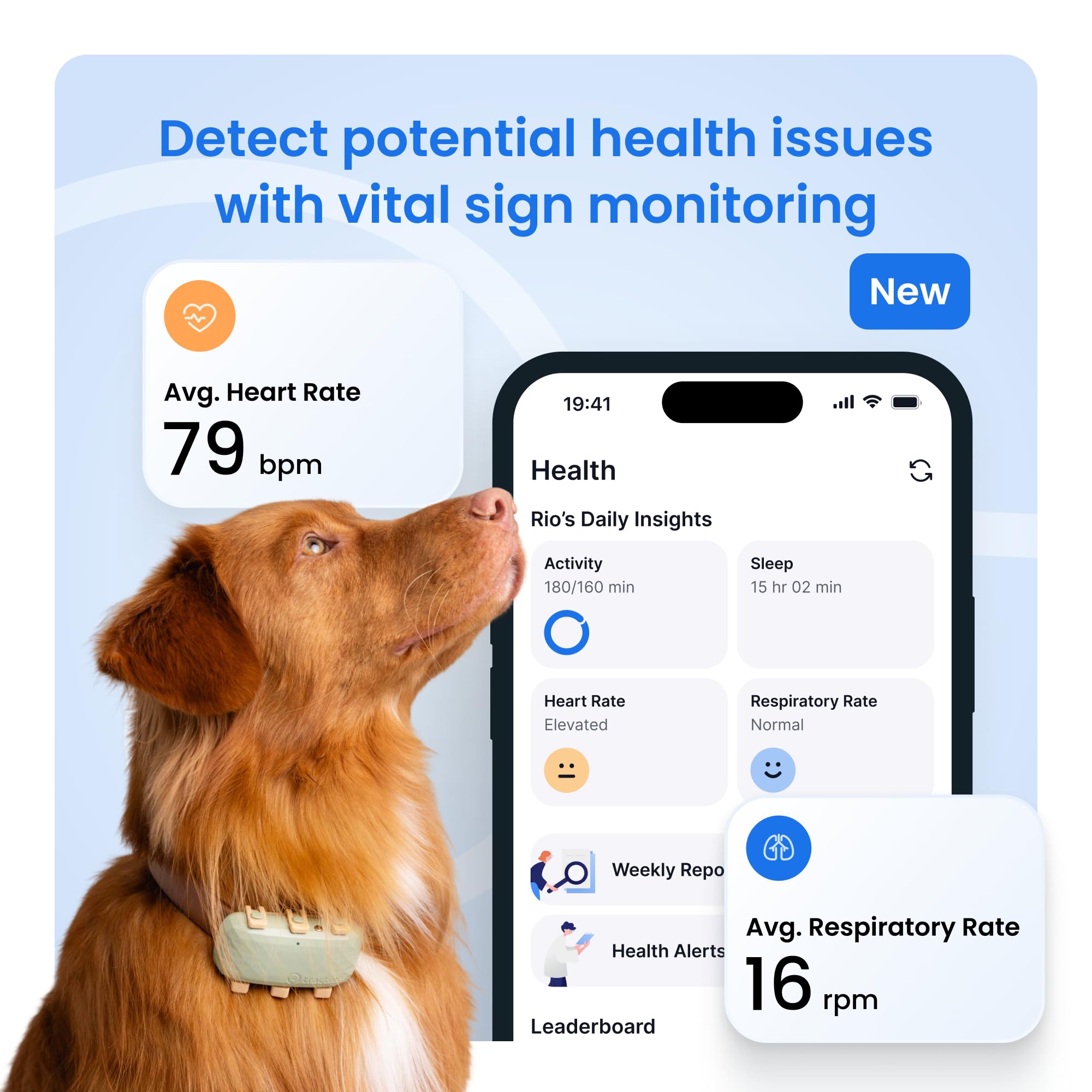 Tractive XL Smart Dog GPS Tracker with Health Monitoring
