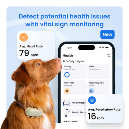 Tractive XL Smart Dog GPS Tracker with Health Monitoring