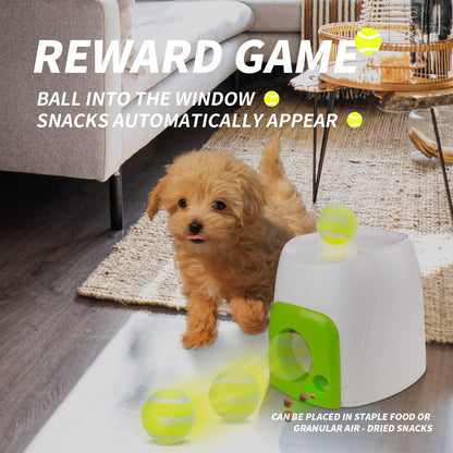 Interactive Fetch and Treat Toy for Dogs