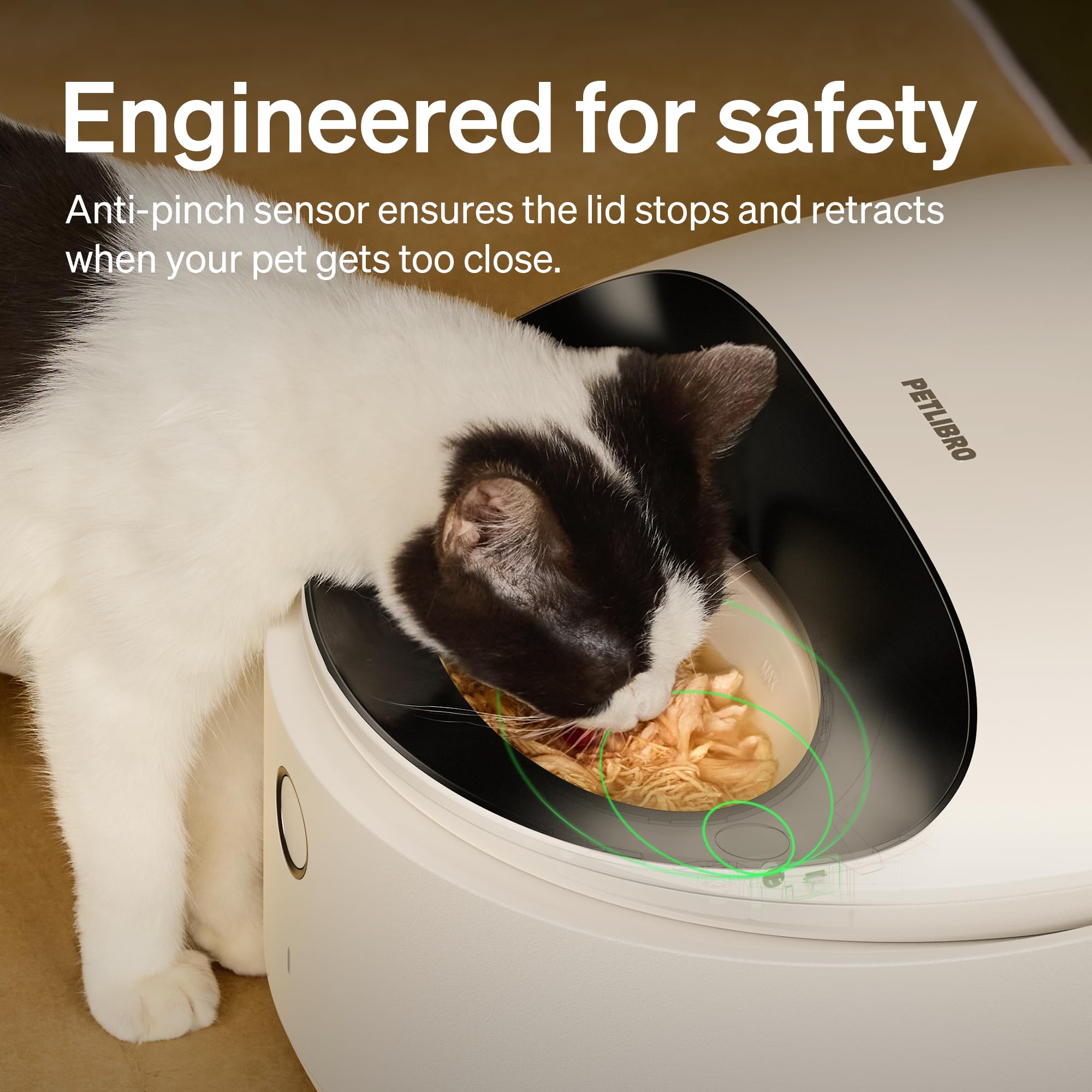 Automatic Cat Feeder with Refrigerated Fresh Meals