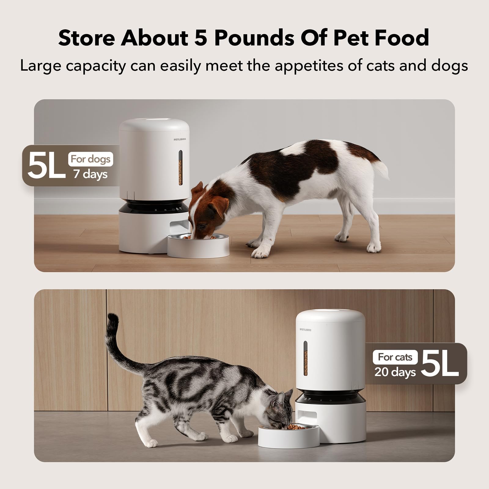 Automatic Cat Feeder with Freshness Preservation and Timed Meals