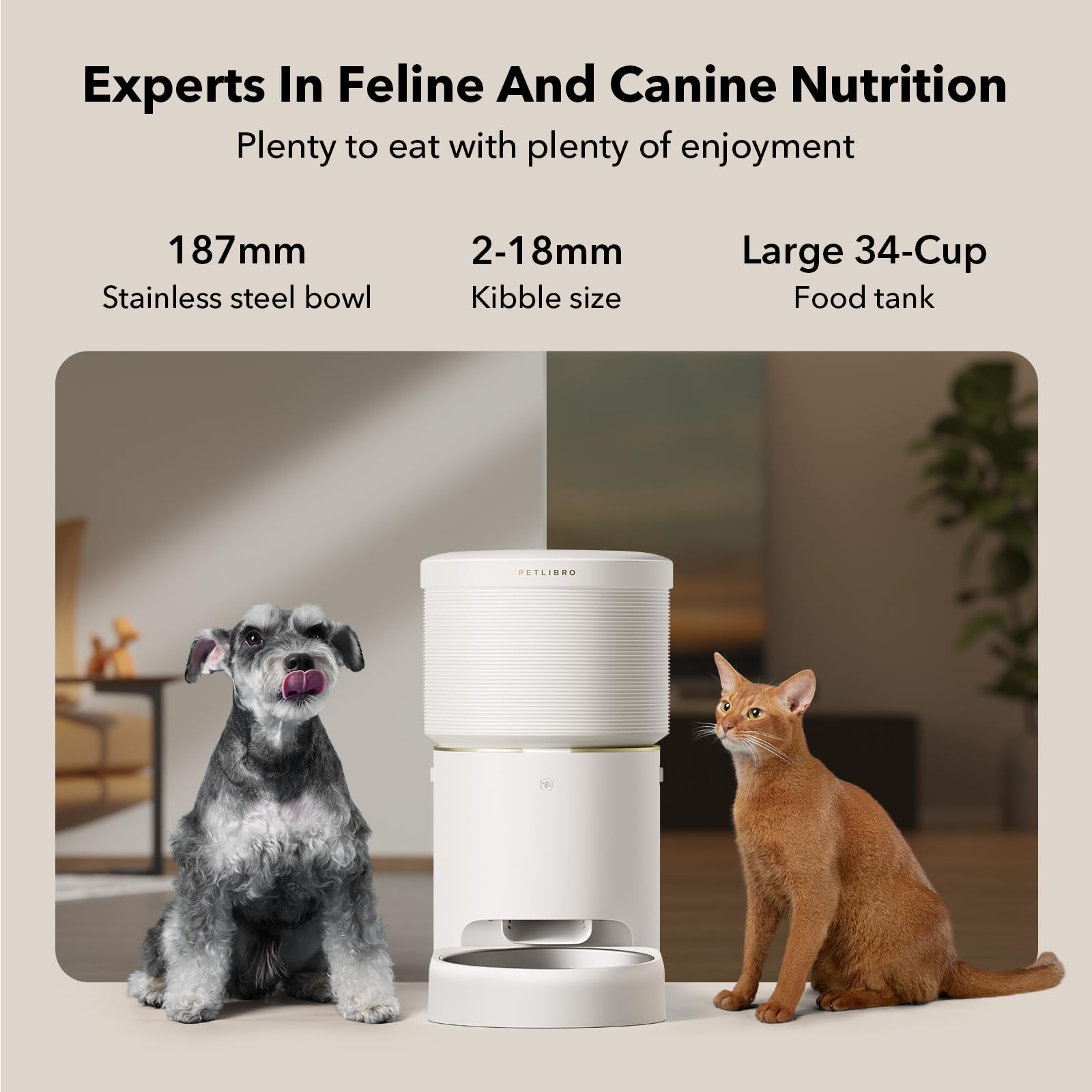 Automatic Dog Feeder with Airtight Storage for Fresh Food