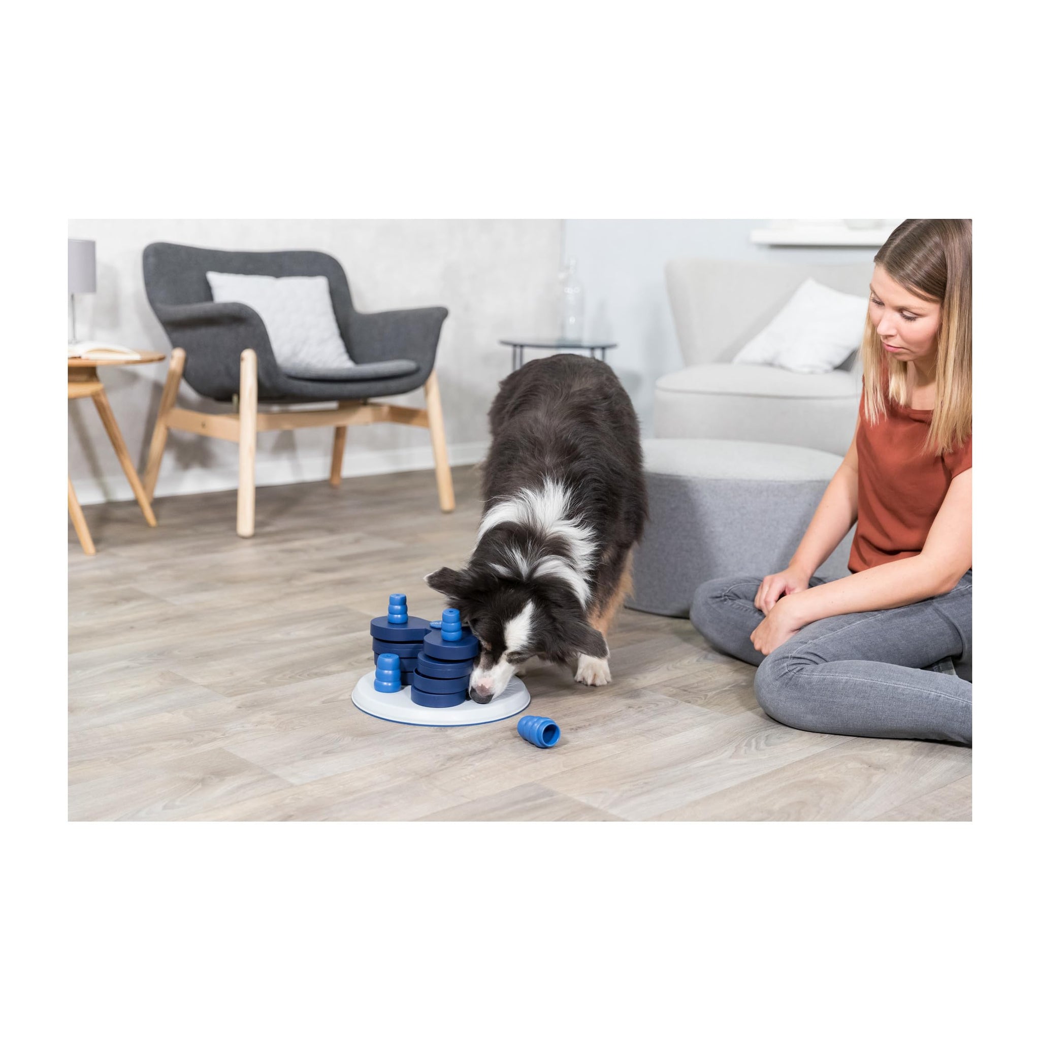 Trixie Move to Win Level 3 Dog Puzzle Game