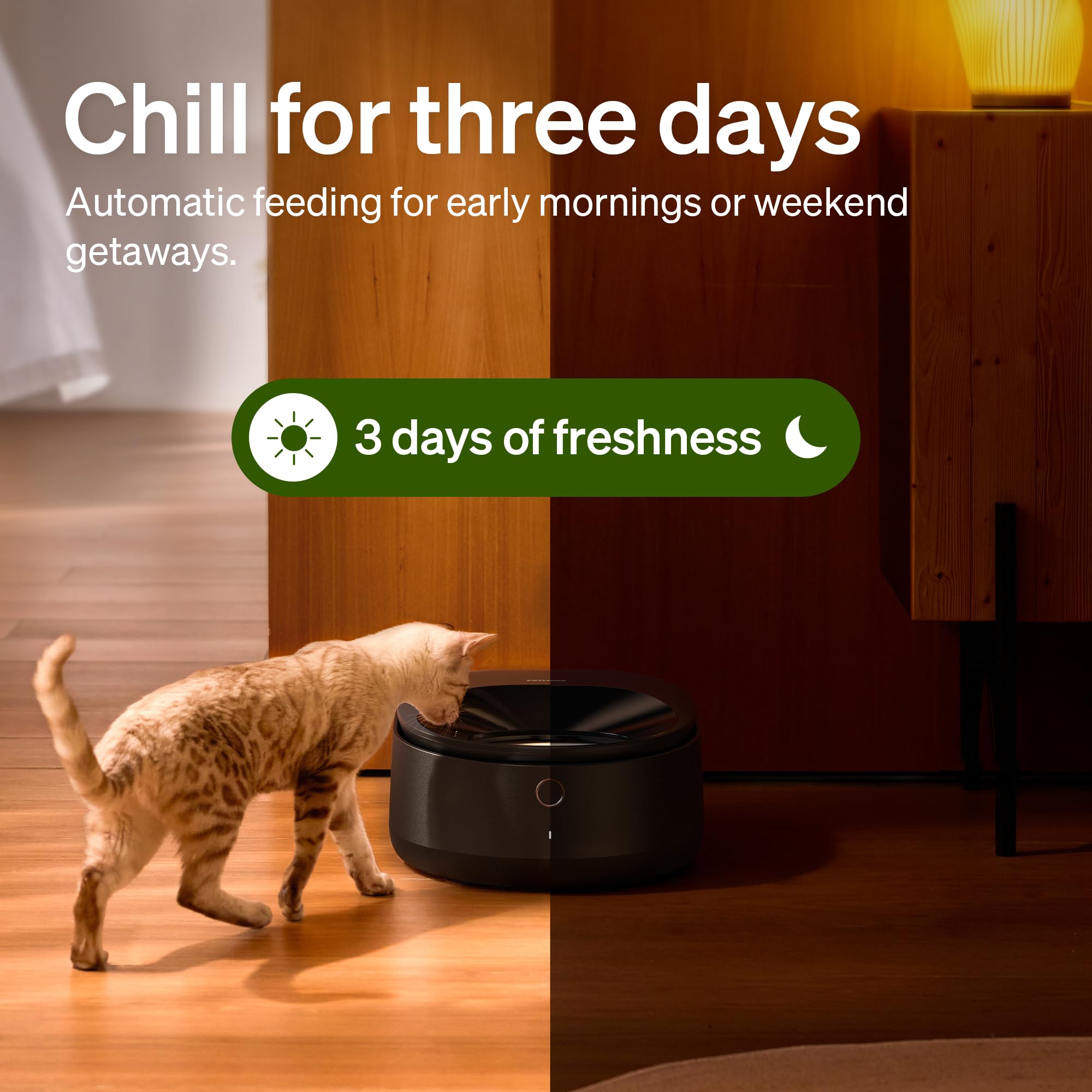 Automatic Cat Feeder with Refrigerated Fresh Meals