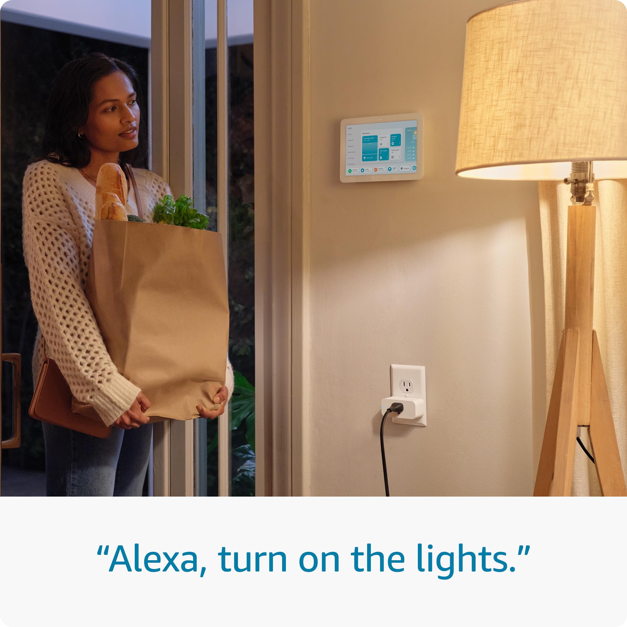 Amazon Smart Plug Works With Alexa For Fast Easy Setup