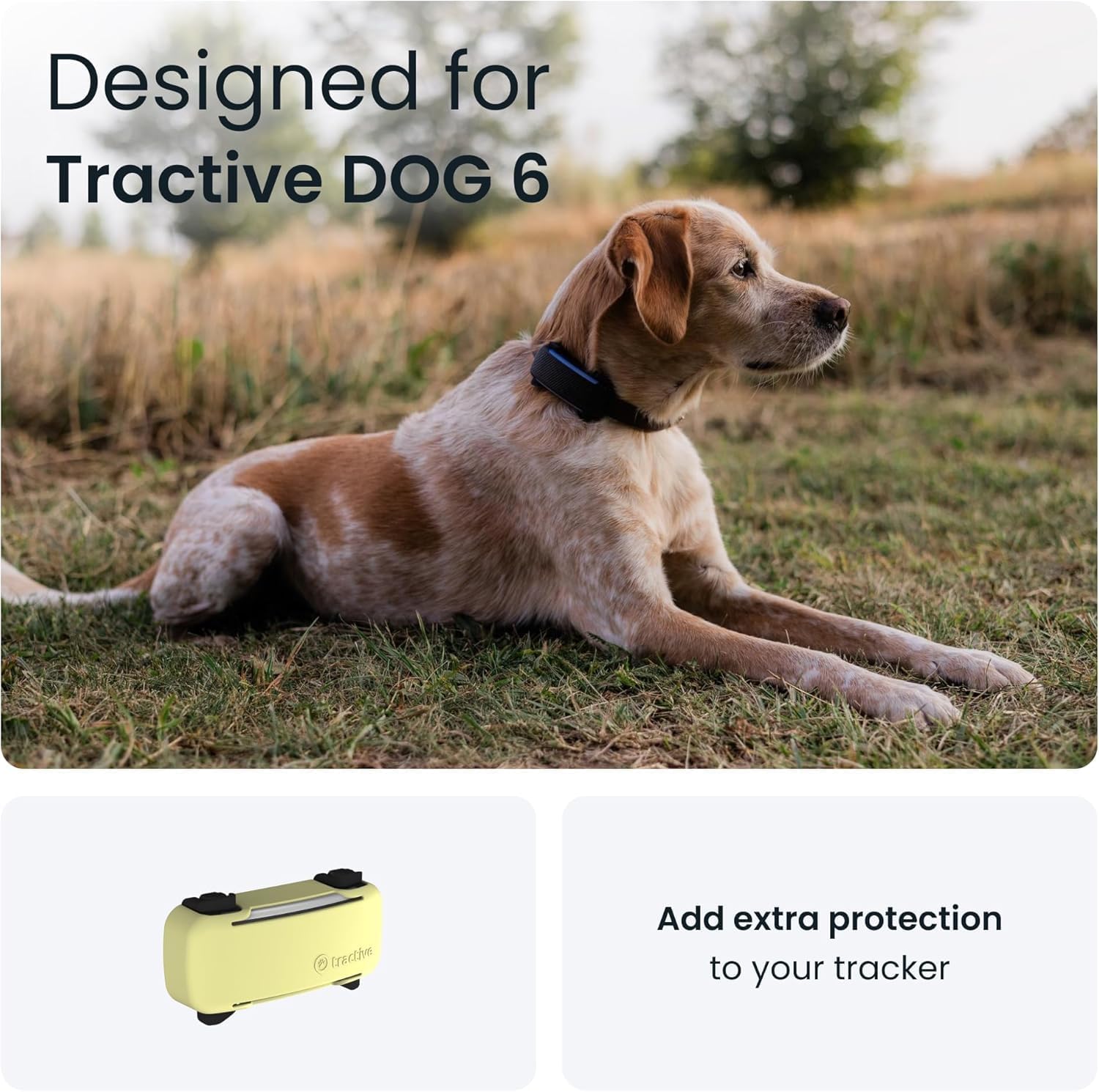 Real Time GPS Dog Tracker with Health Alerts
