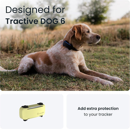 Real Time GPS Dog Tracker with Health Alerts