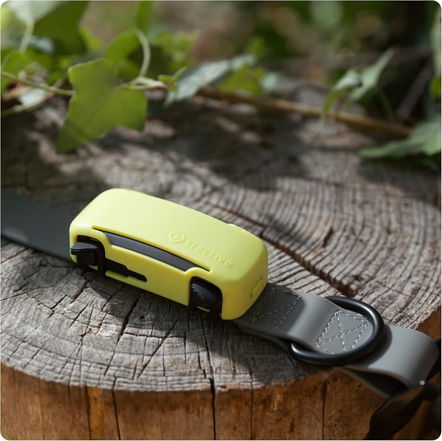 Real Time GPS Dog Tracker with Health Alerts