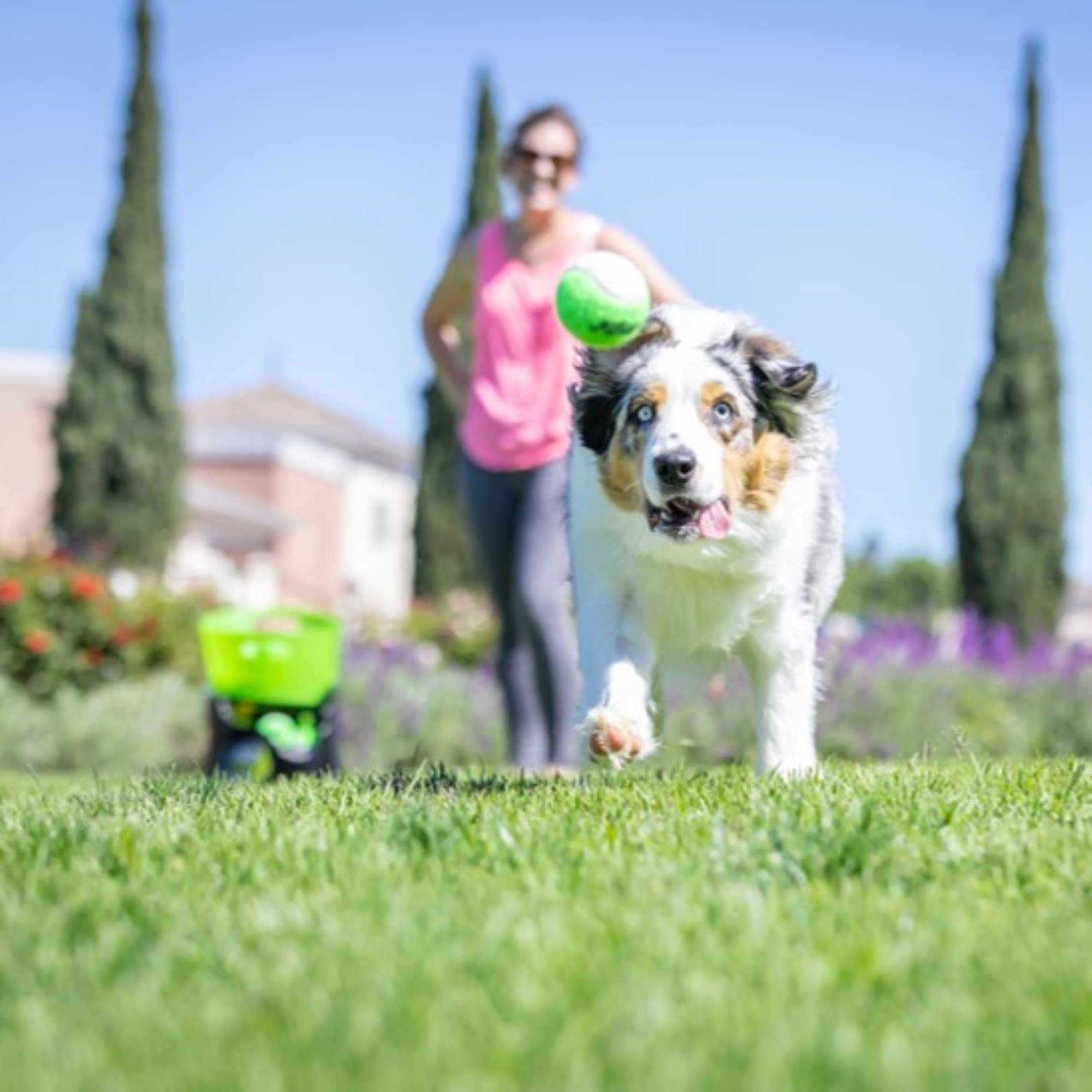Automatic Ball Launcher for Dogs with Remote Control