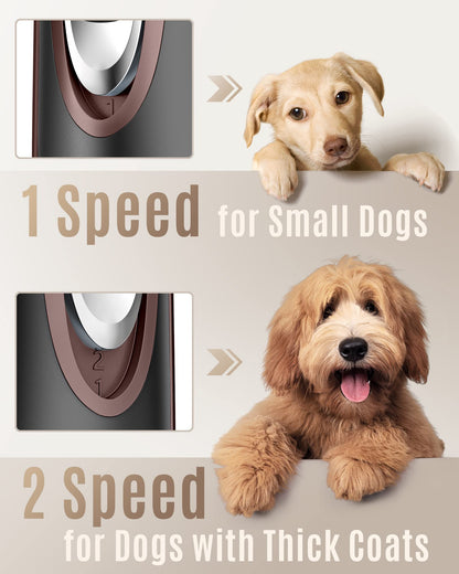 Quiet Dog Clippers for Stress-Free Grooming at Home