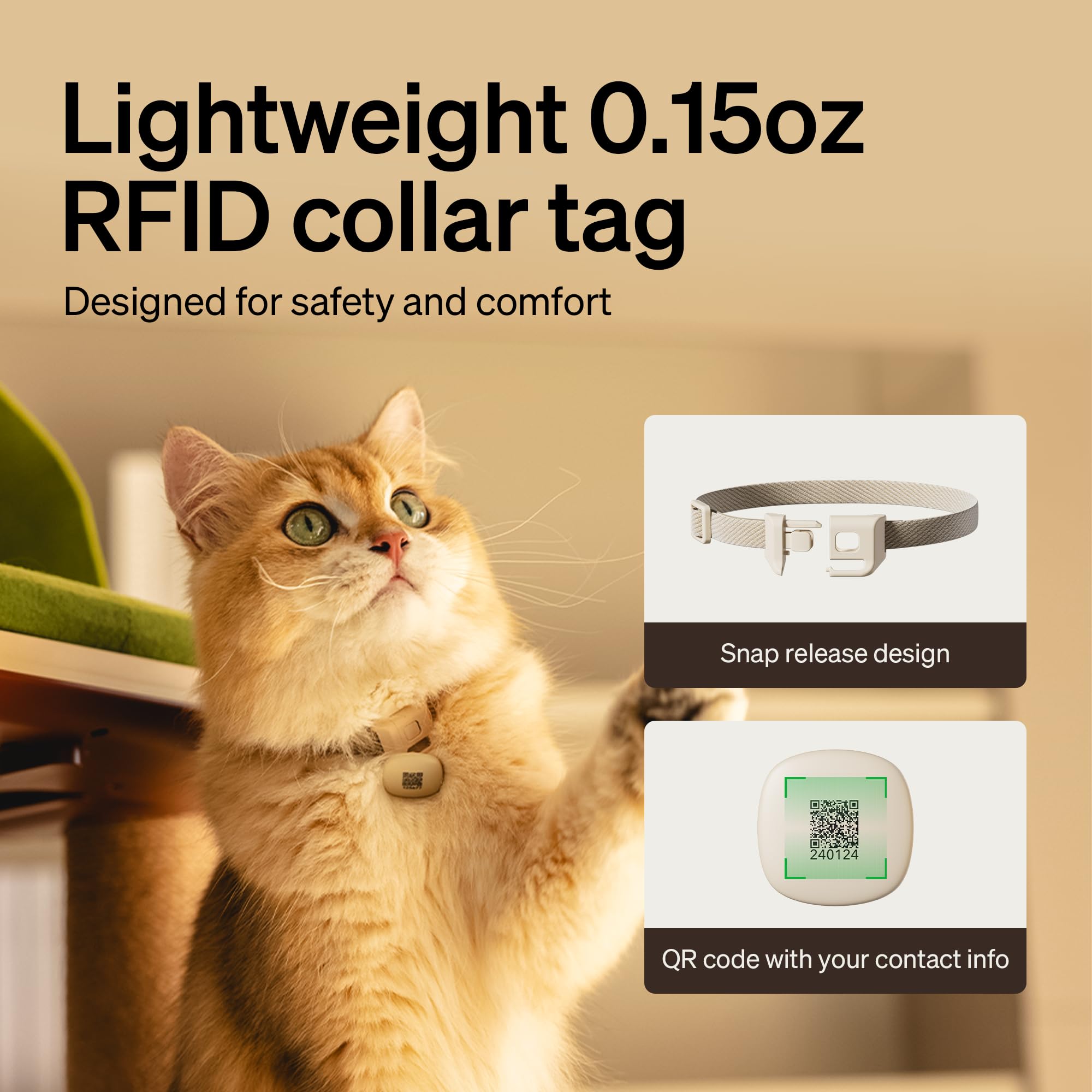 Automatic Cat Feeder With App Control For Convenient Feeding