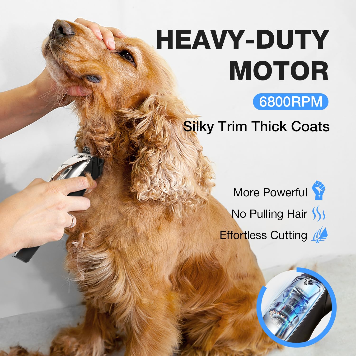 Professional Dog Clippers for Thick Coats Low Noise Operation