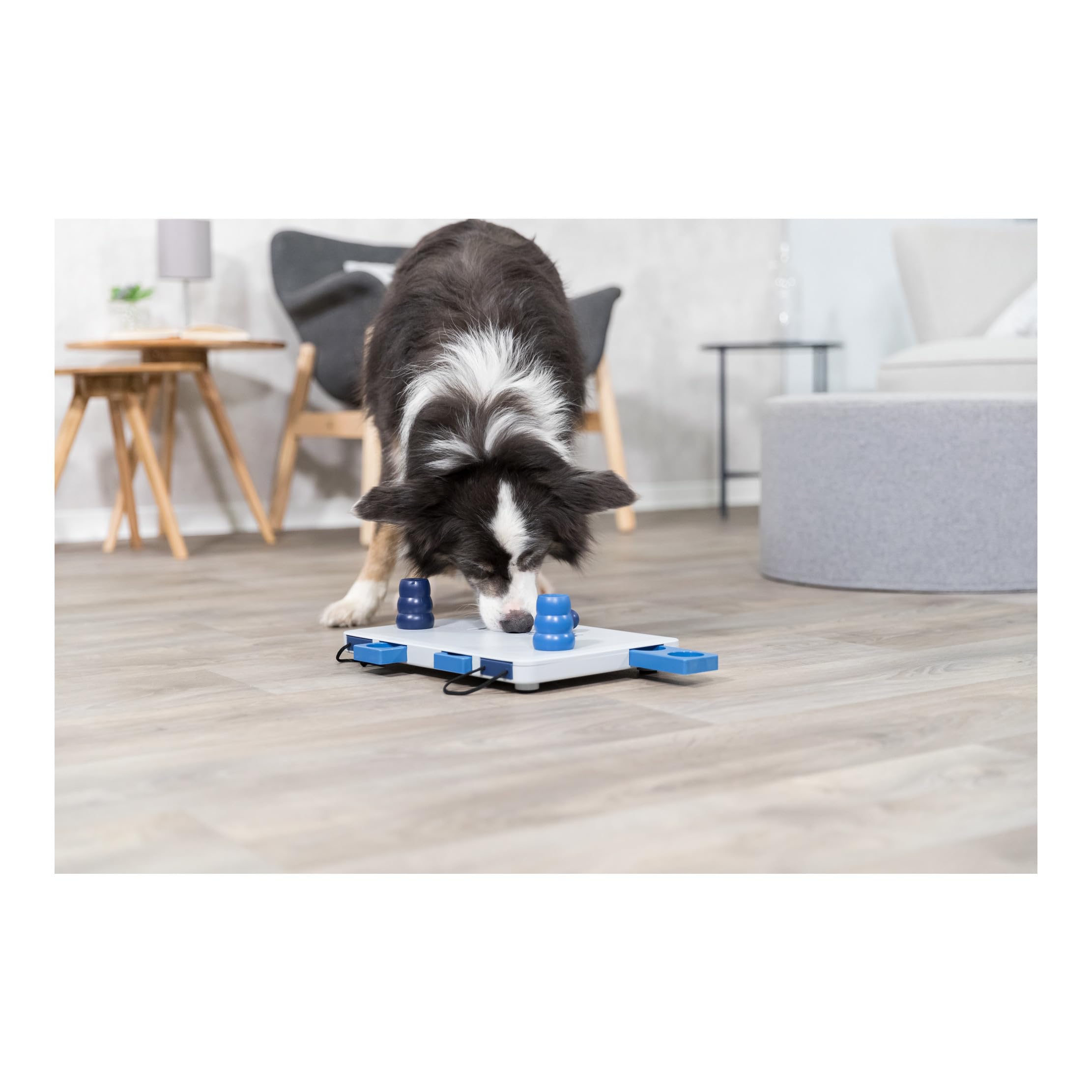 Trixie Move to Win Level 3 Dog Puzzle Game