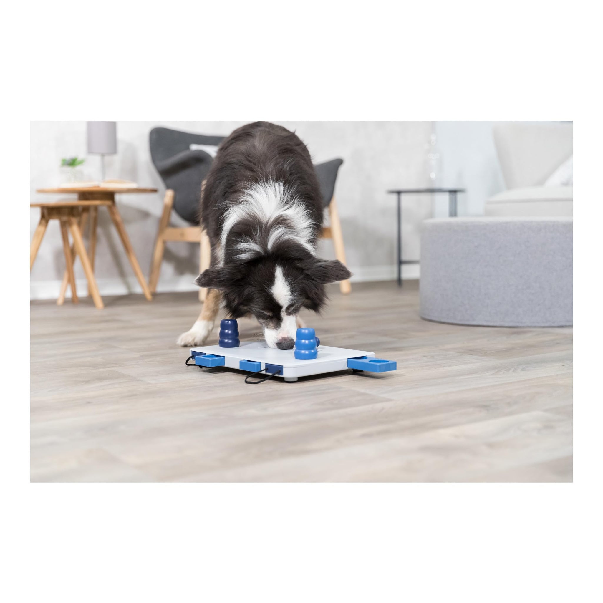 Trixie Move to Win Level 3 Dog Puzzle Game