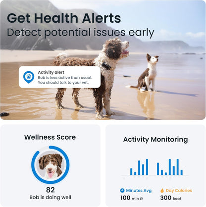 Real Time GPS Dog Tracker with Health Alerts