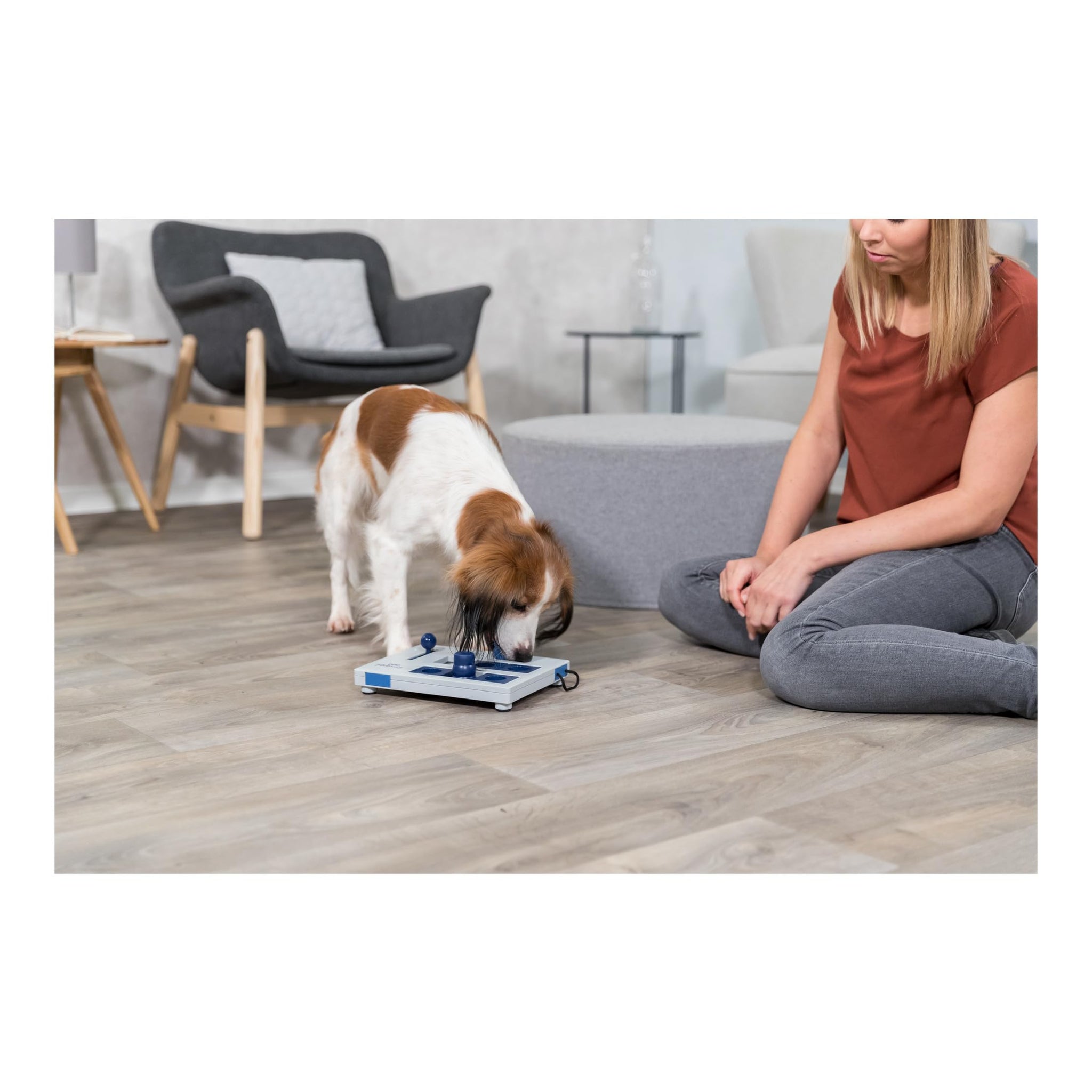 Trixie Move to Win Level 3 Dog Puzzle Game