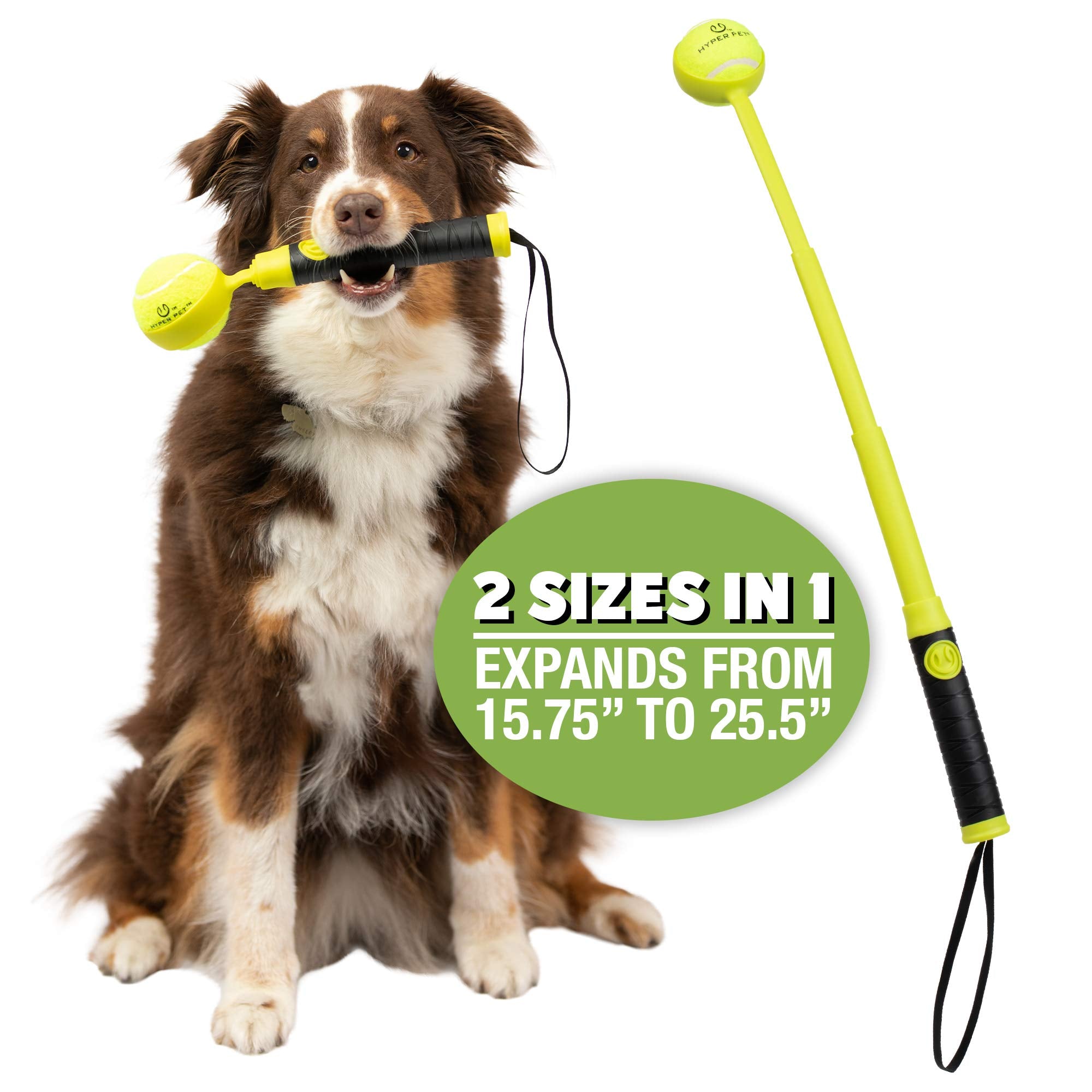 Automatic Ball Launcher for Dogs with Remote Control