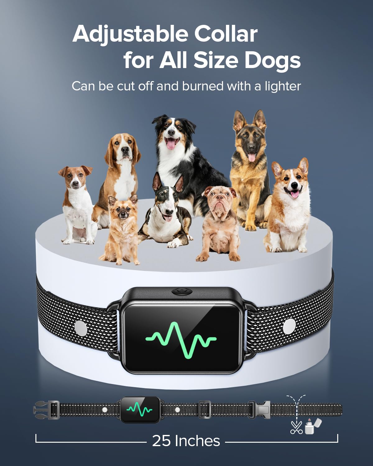 Dog Training Collar with Remote and Waterproof Design