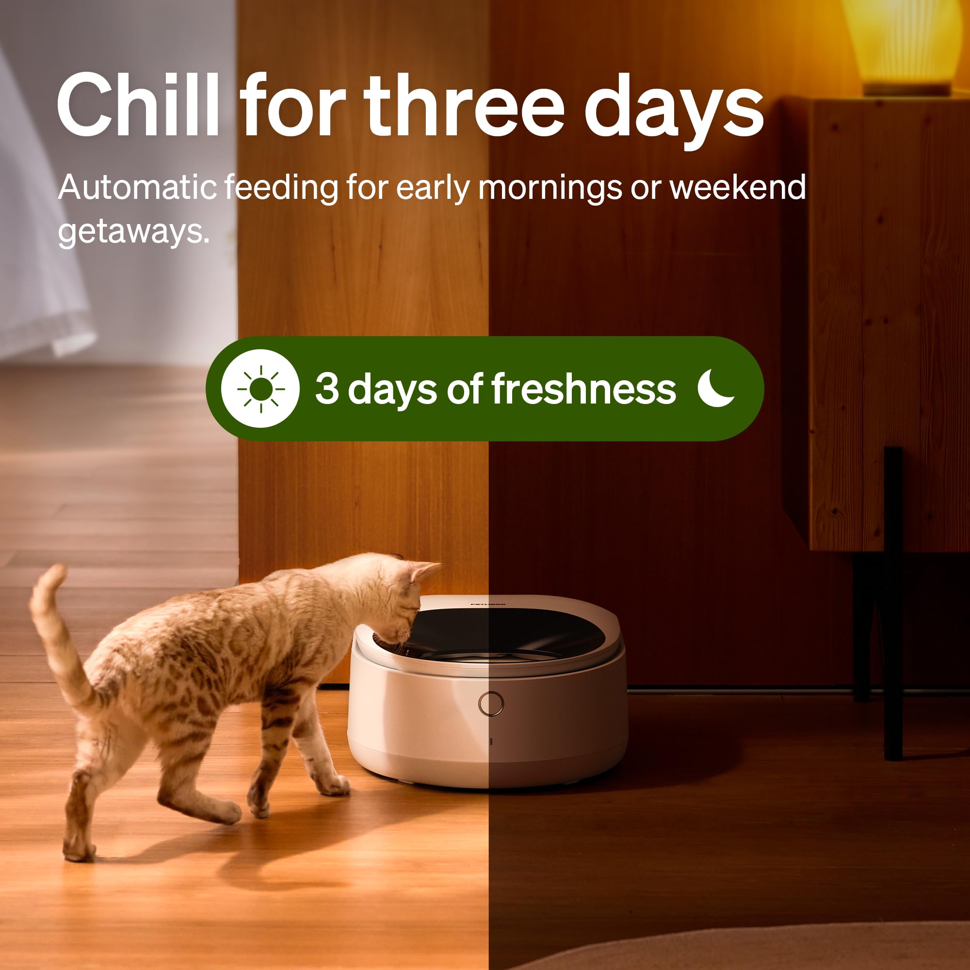 Automatic Cat Feeder with App Control and Freshness