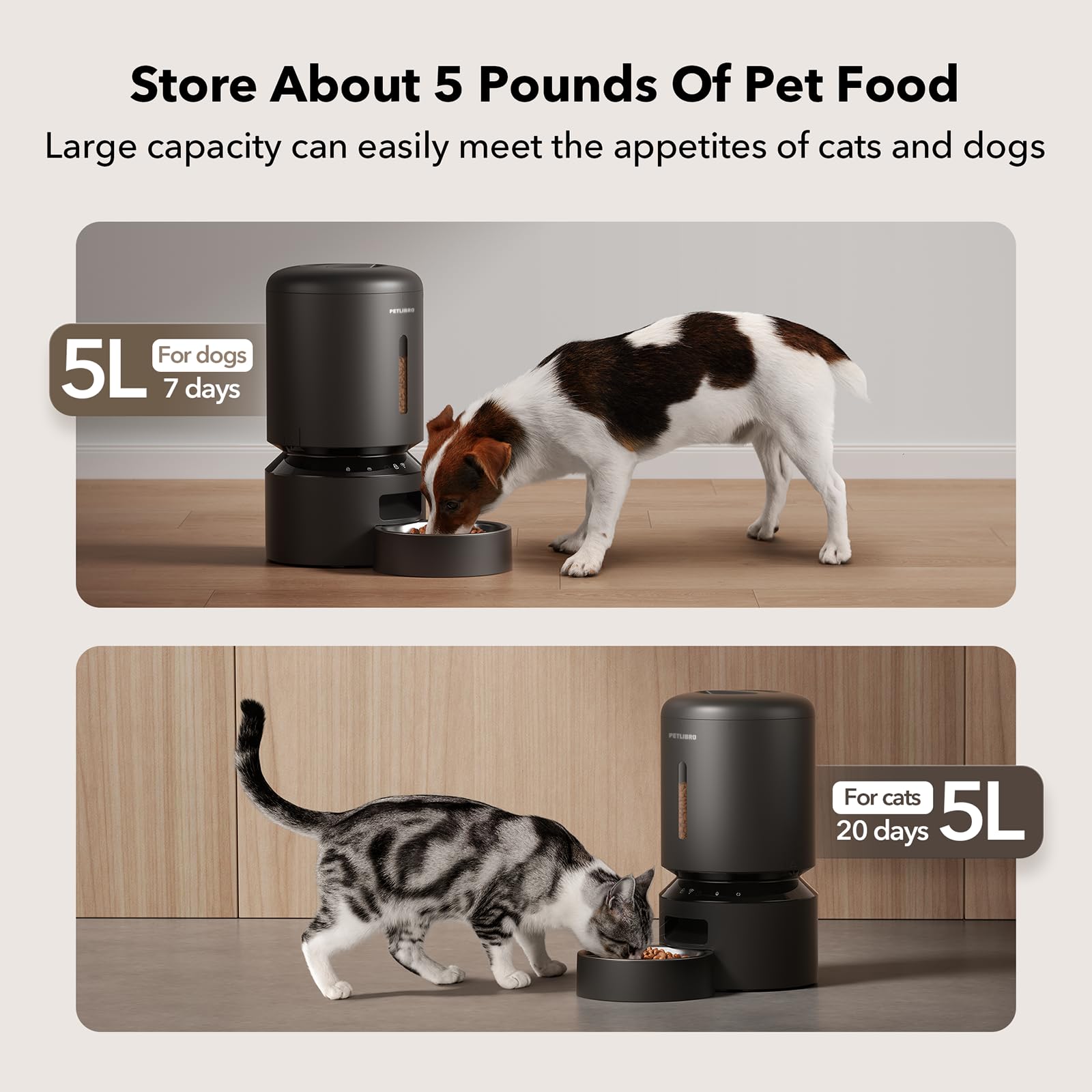 Automatic Cat Feeder with Freshness Preservation and Timed Meals