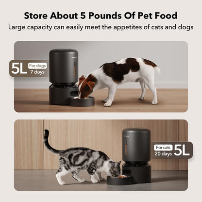 Automatic Cat Feeder with Freshness Preservation and Timed Meals