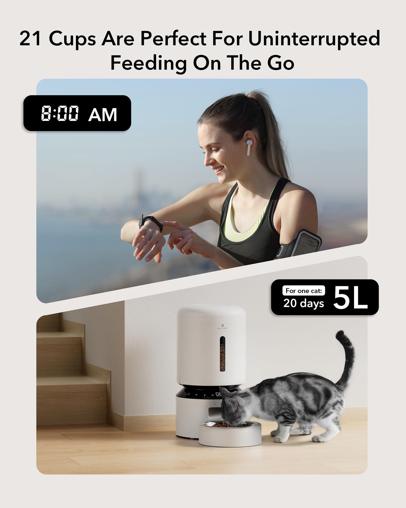 Automatic Cat Feeder with Freshness Preservation and Timed Meals