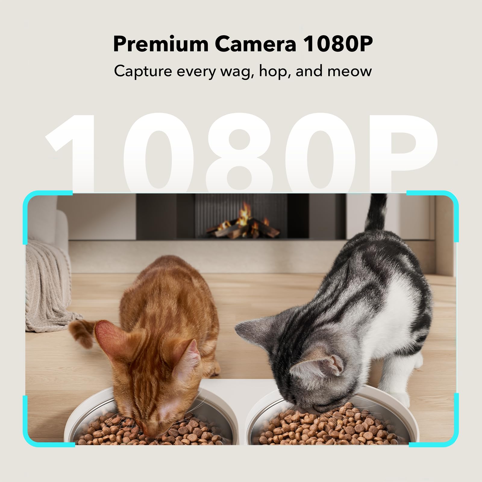 Petlibro Automatic Cat Food Dispenser for Two Pets