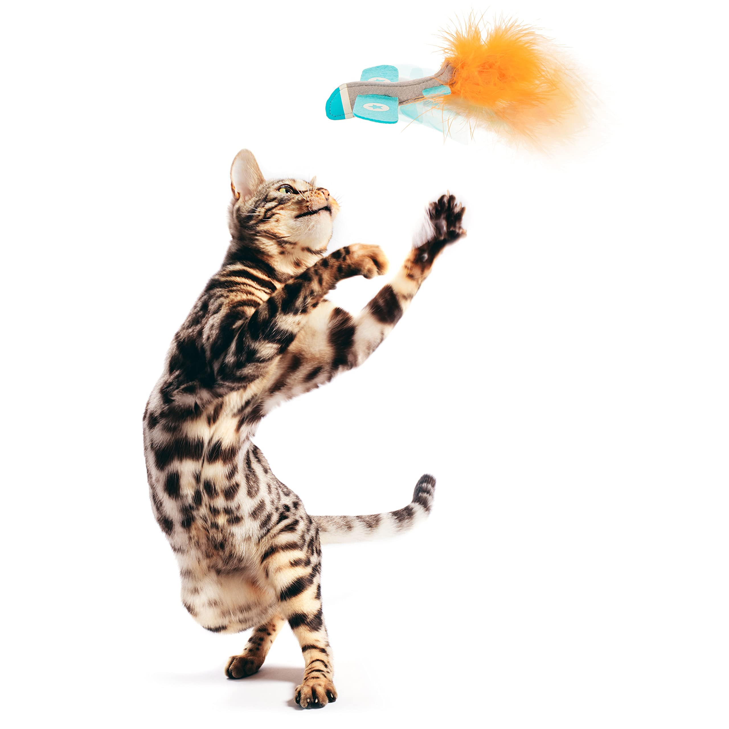 Interactive Cat Toy with Light and HappyNip Blend