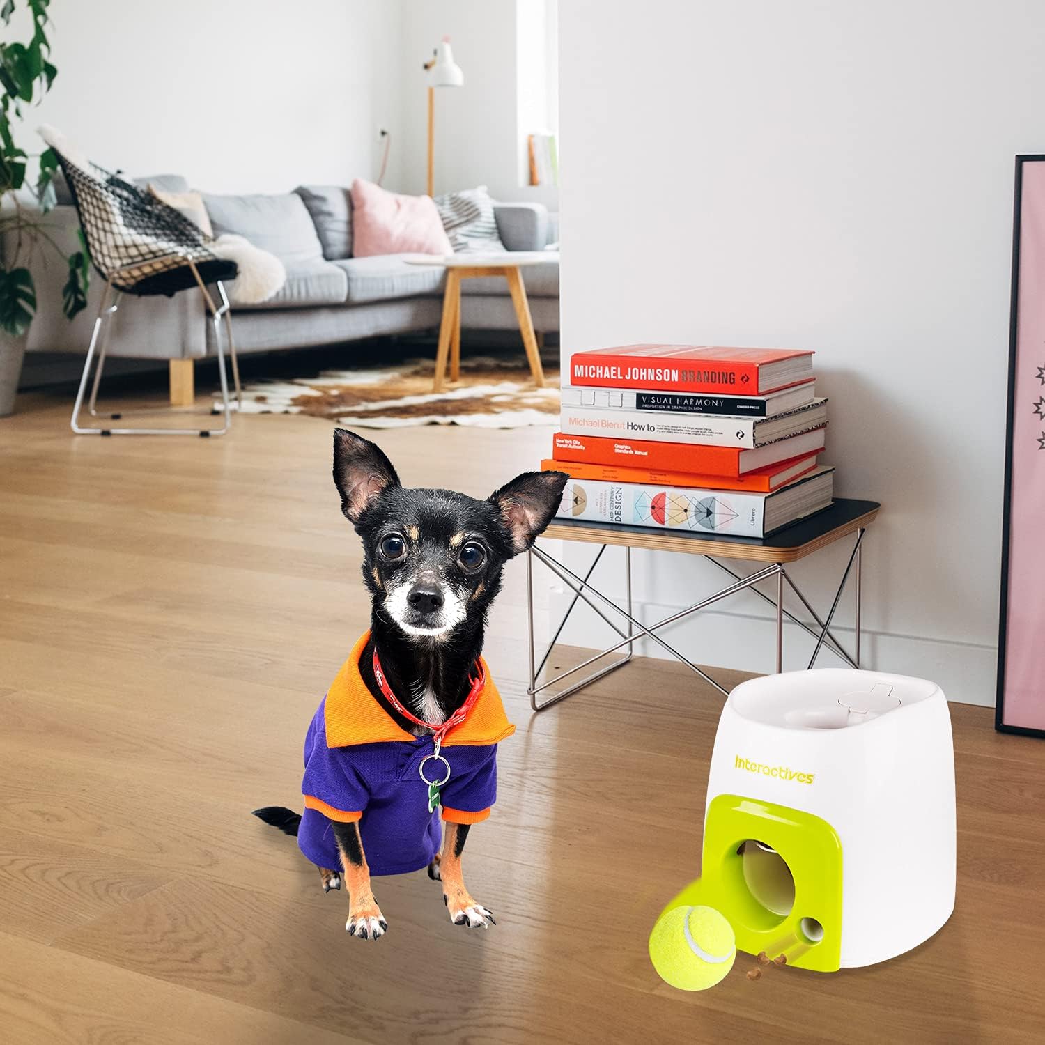 Interactive Fetch and Treat Toy for Dogs