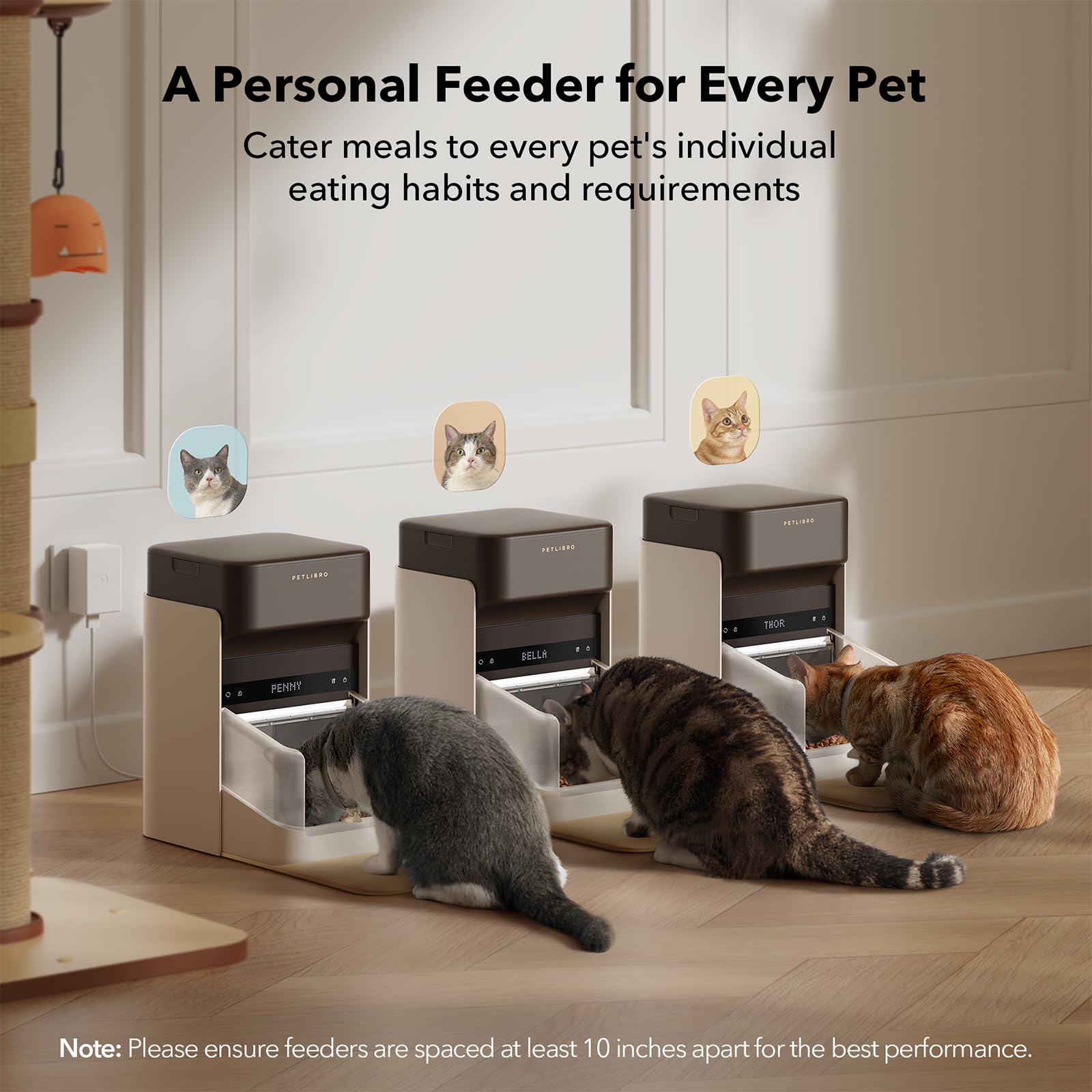 Automatic Cat Feeder With App Control For Convenient Feeding