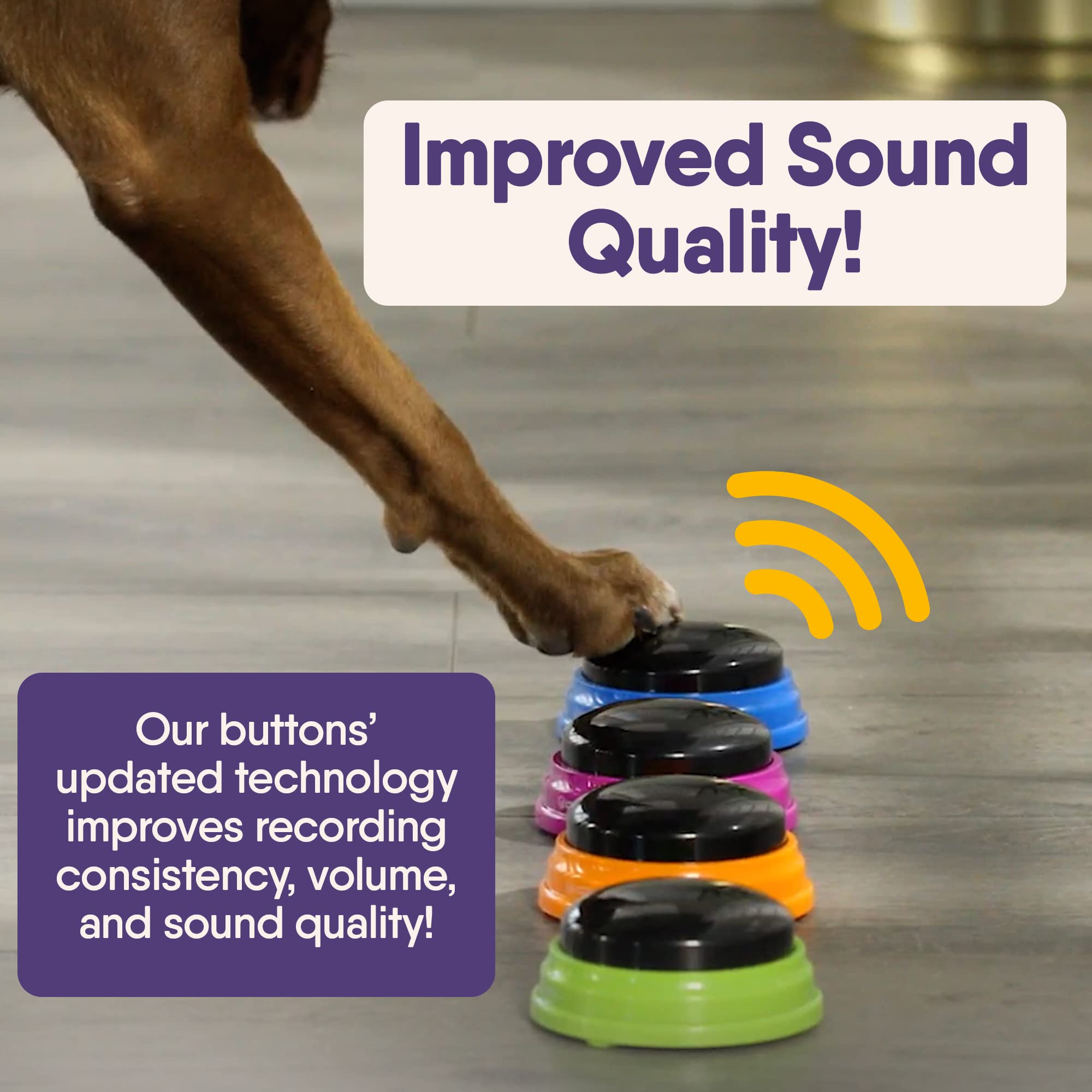 Talking Buttons Starter Set for Dog Communication