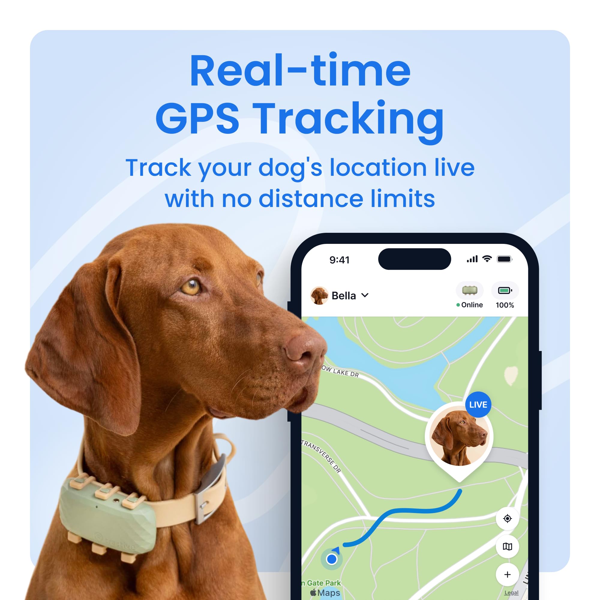 Tractive XL Smart Dog GPS Tracker with Health Monitoring