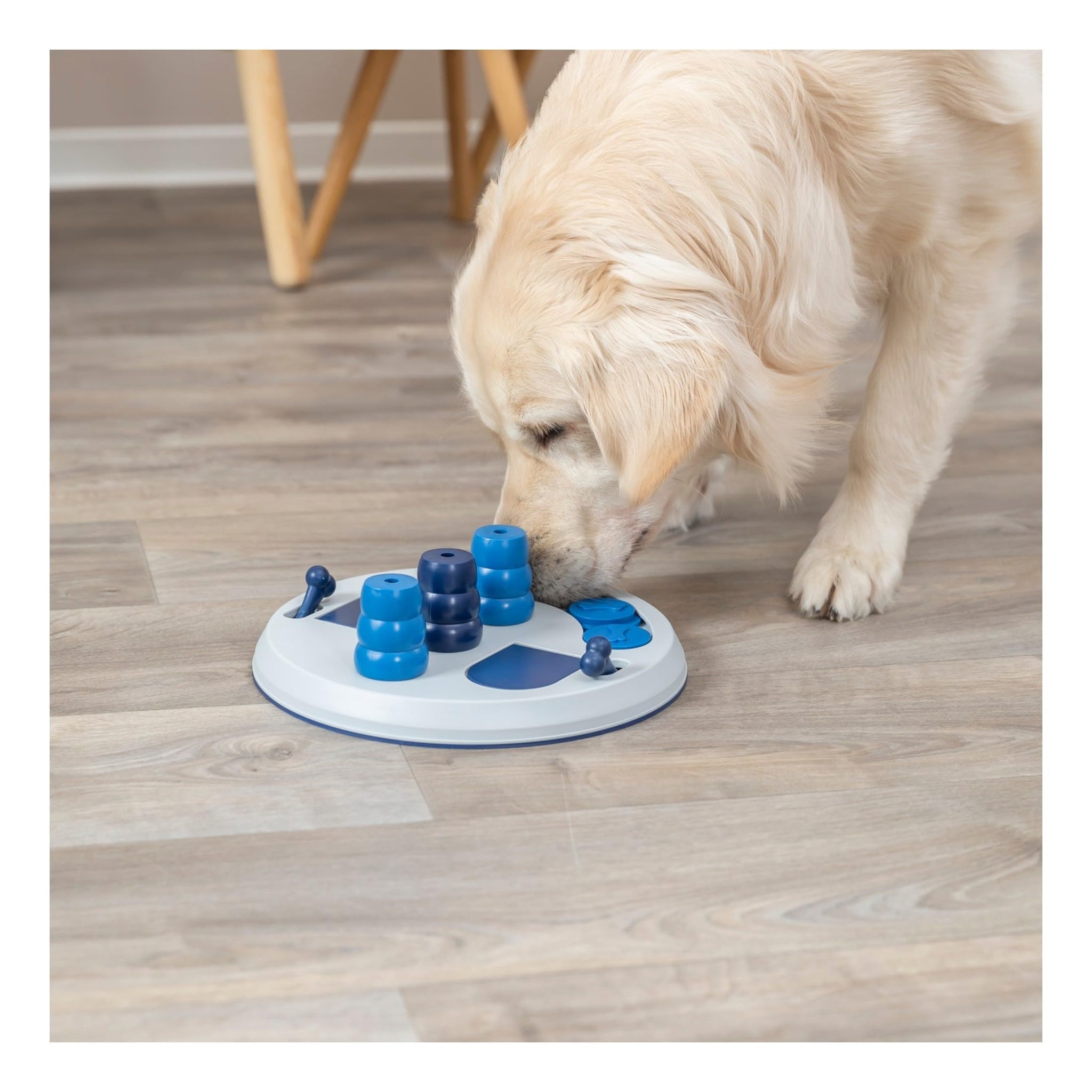 Trixie Move to Win Level 3 Dog Puzzle Game