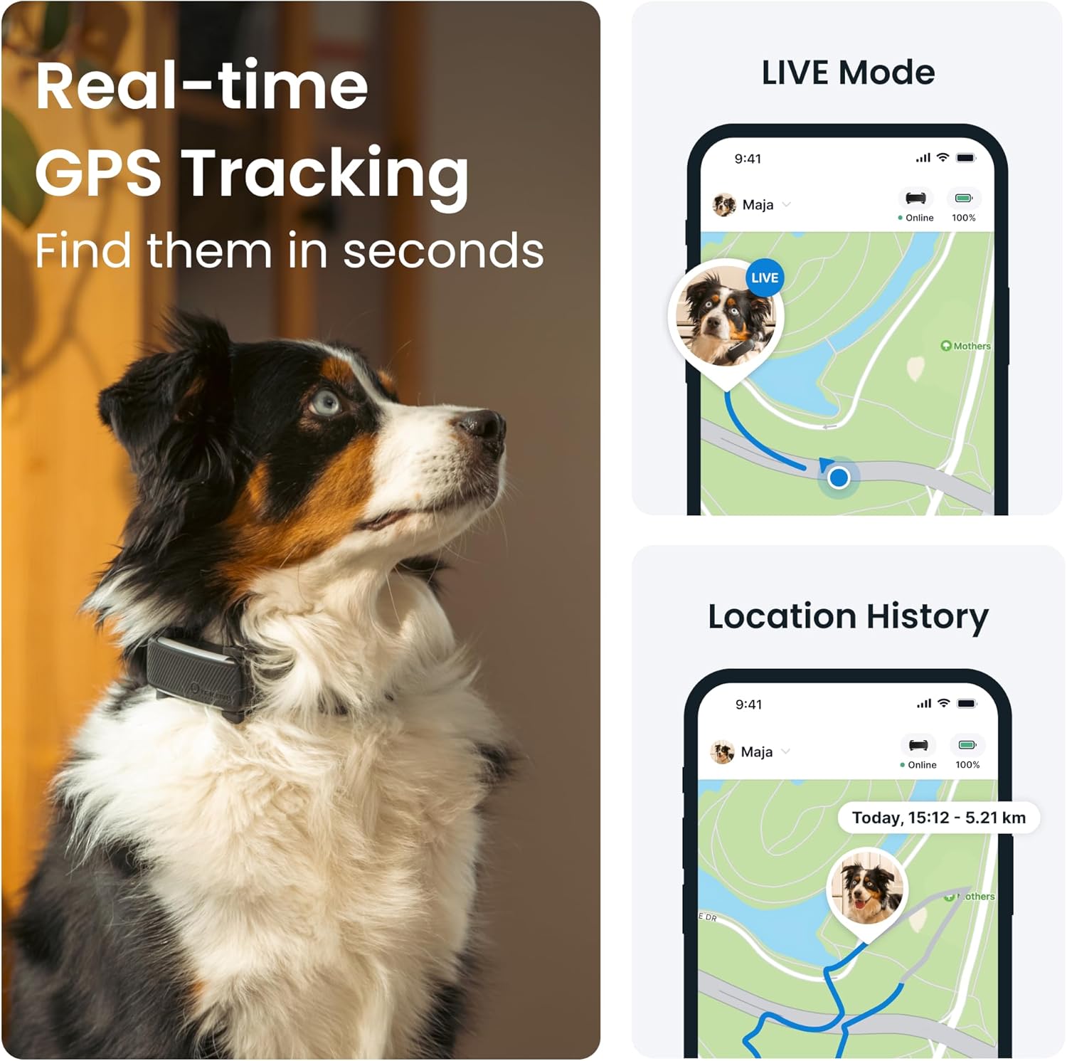 Real Time GPS Dog Tracker with Health Alerts